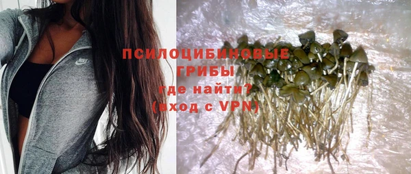 МДПВ Абаза