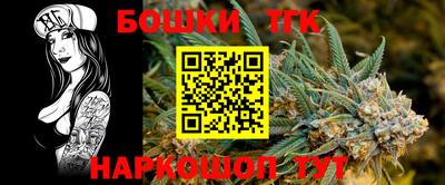Альфа ПВП Можга