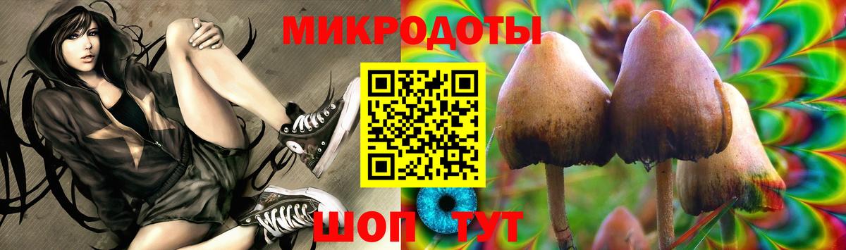 Псилоцибиновые грибы GOLDEN TEACHER  Вход с VPN  Алейск 