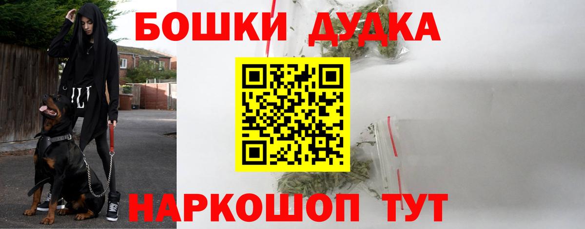 Канабис планчик Алейск